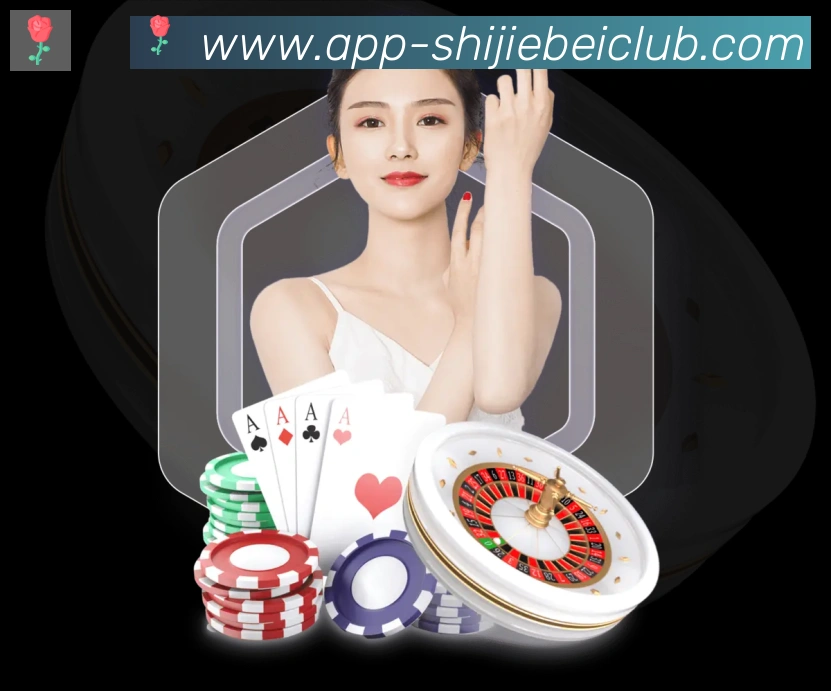 未来规划